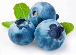 grupo-canela-alimentos-produtos-blueberry-2020