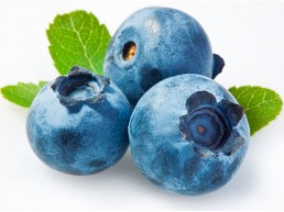 grupo-canela-alimentos-produtos-blueberry-2020