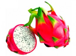 grupo-canela-alimentos-produtos-pitaya-2020