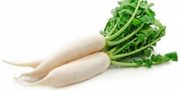 grupocanelas-verduras-nabo-2020
