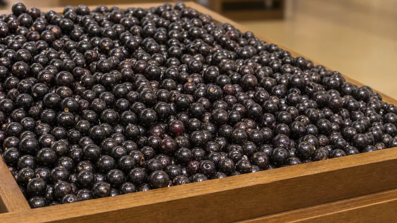 Exposição comercial de Jabuticaba